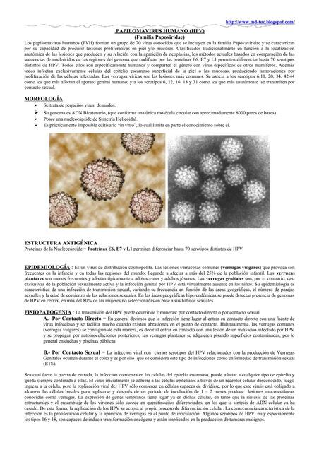 Virus del Papiloma Humano 