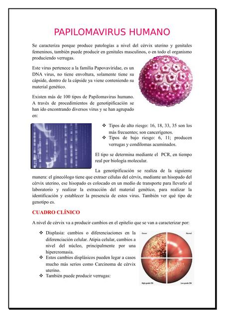 Papilomavirus Humano 