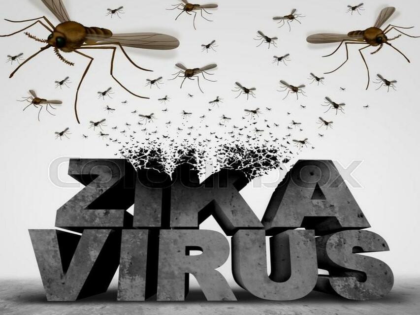 ZIKA Y CHIKUNGUNYA