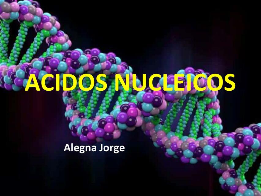 Ácidos Nucleicos 