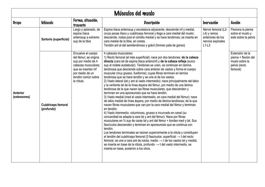 Músculos de la Pelvis y Muslo Rouviere