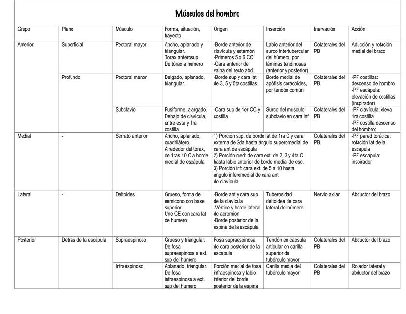 Músculos del Miembro Superior 