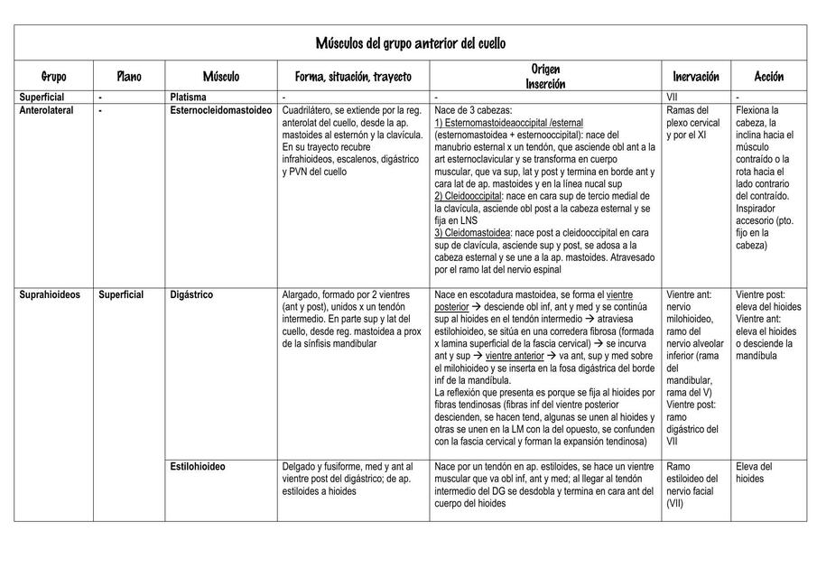 Músculos del Grupo Anterior del Cuello