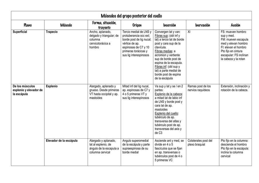 Músculos del Grupo Posterior del cuello 