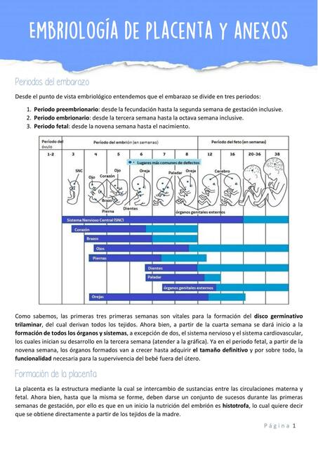 Embriologia de Placenta y Anexos