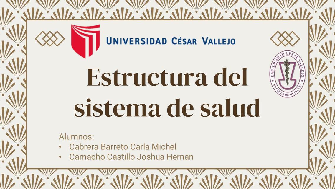 Estructura del sistema de salud