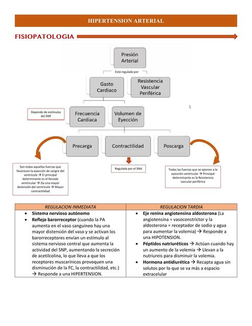 Hipertensión Arterial