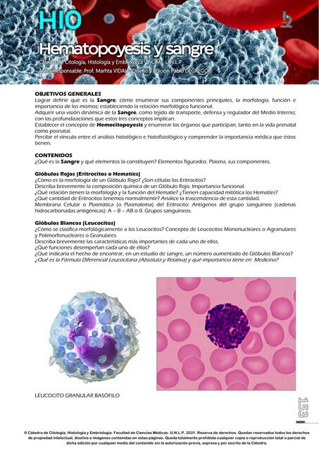 Hematopoyesis y Sangre 