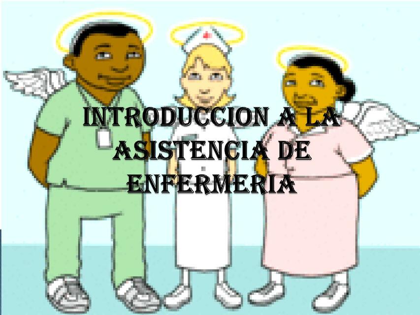 Introducción a la Asistencia de Enfermería 