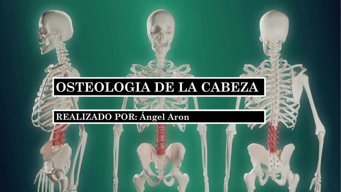 Osteología de la Cabeza 