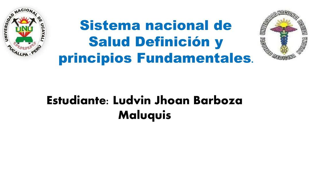 Sistema Nacional de Salud 