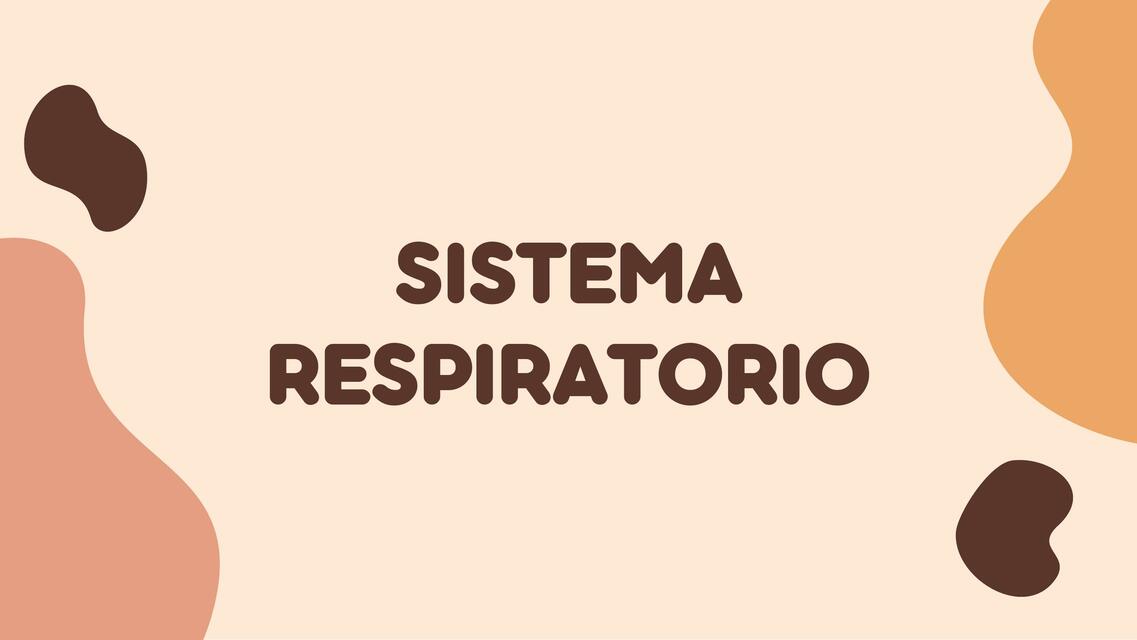 Sistema Respiratorio 