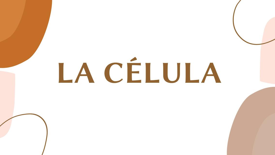 La Célula 