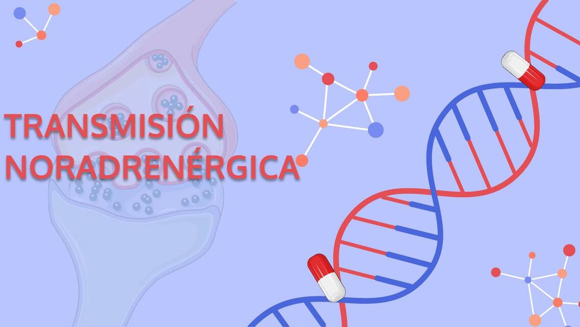 Transmisión Noradrenérgica