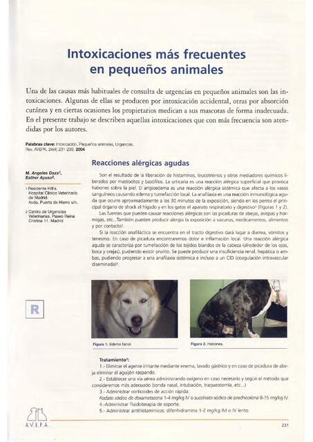 Intoxicaciones Más Frecuentes en Pequeños Animales