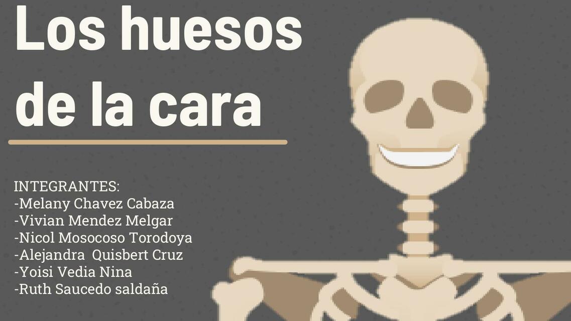 Los Huesos de la Cara 