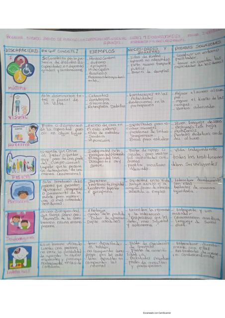 Matriz de Discapacidades