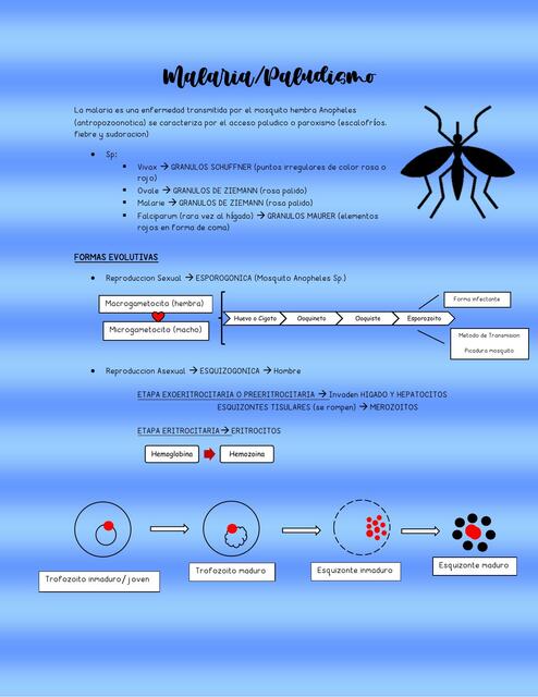 Malaria/Paludismo