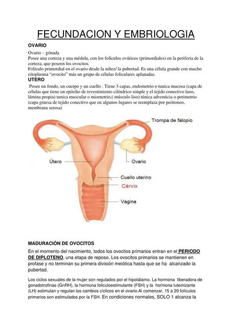 Fecundación y Embriología 