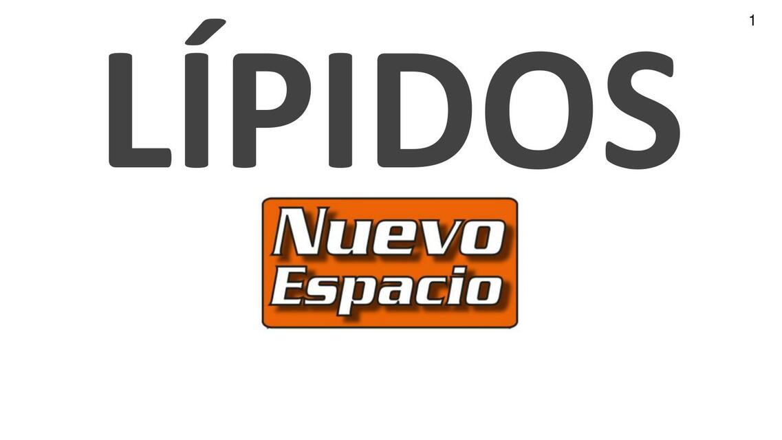 Lípidos