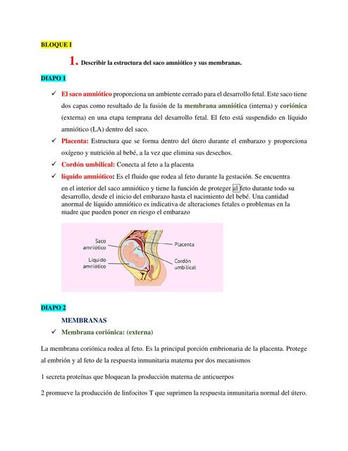 Líquido Amniótico