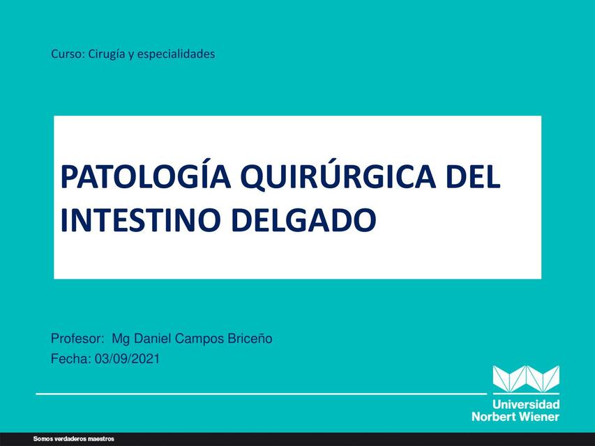 Patología Quirúrgica del Intestino Delgado 