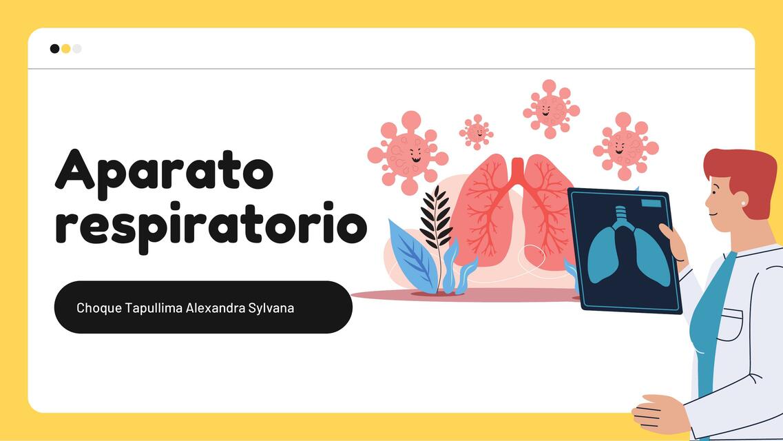 Aparato Respiratorio 