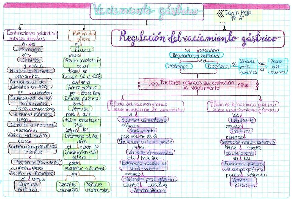 Hormonas Gástricas y Vaciamiento Gástrico