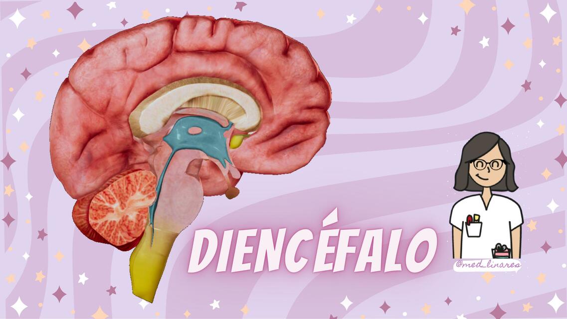 Diencéfalo