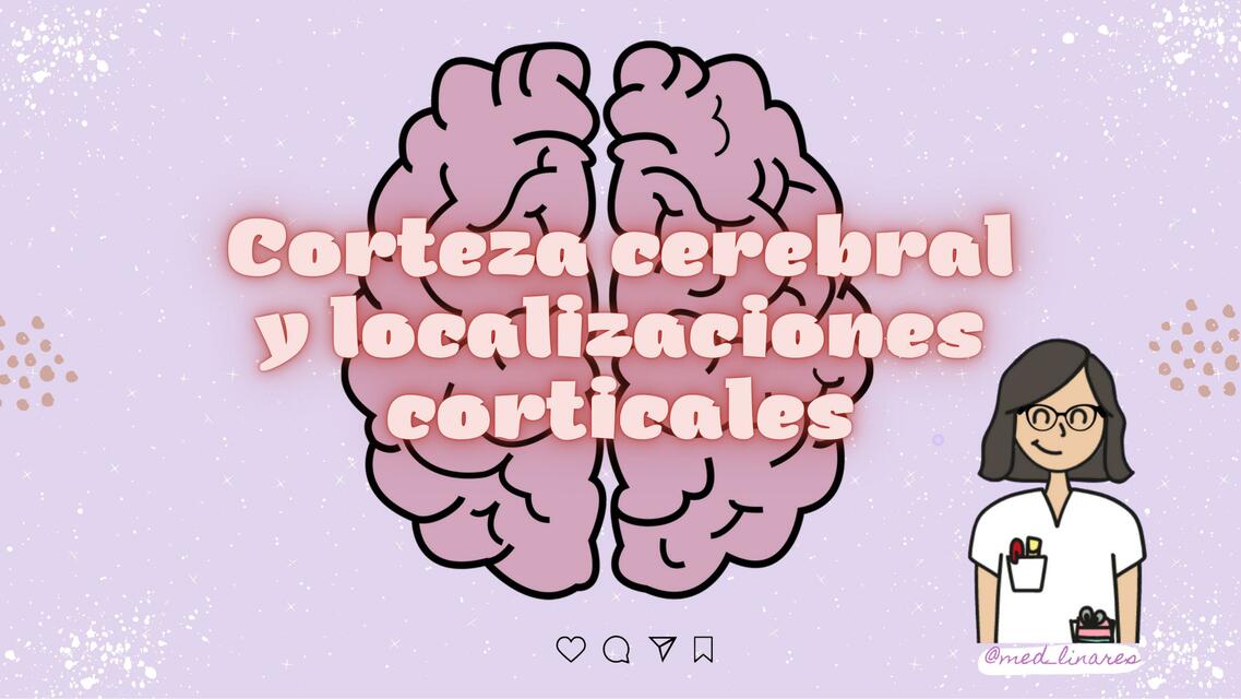 Corteza Cerebral y Localizaciones Corticales