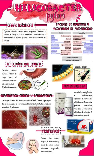 Helicobacter Pylori