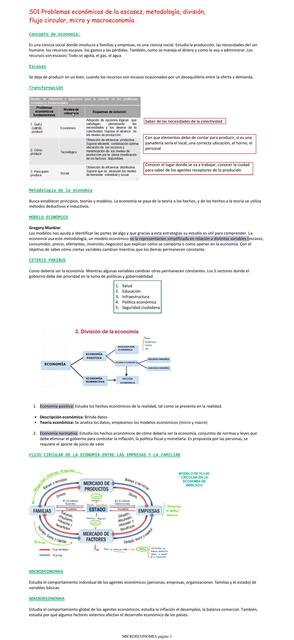 Problemas Económicos de la Escasez