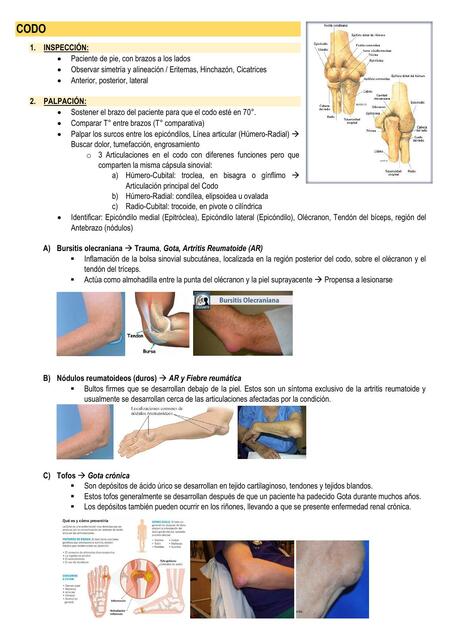 Semiología Codo 