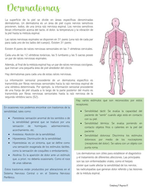 Resumen de medicina física y rehabilitación 