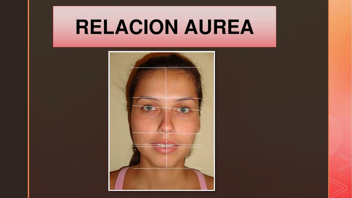 Proporción. Relación áurea