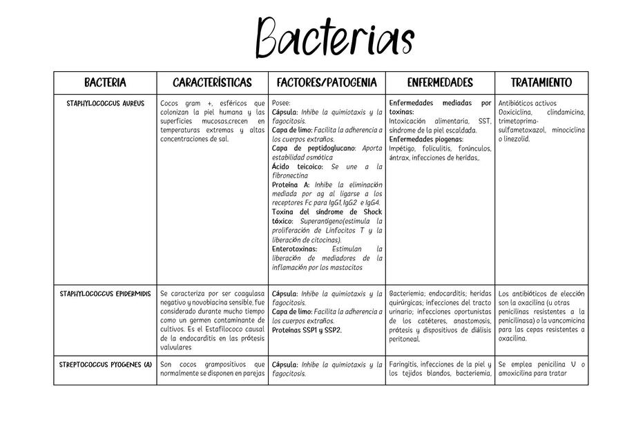 Bacterias 