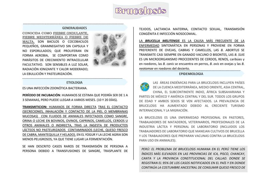 Brucelosis Agudo y Crónico 