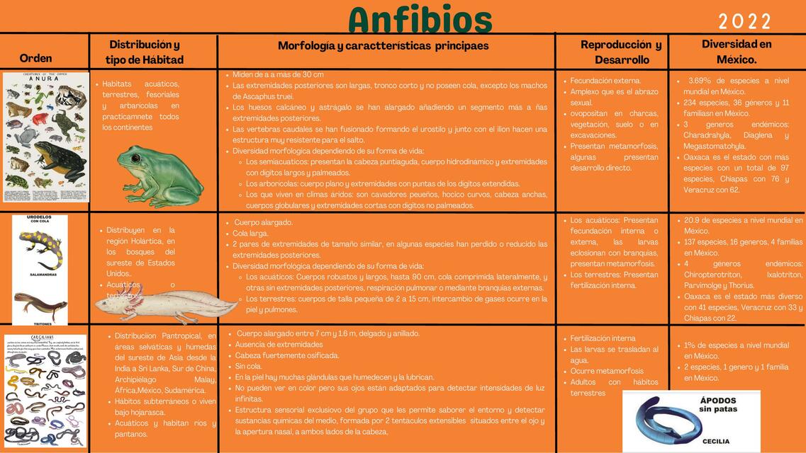 Anfibios 