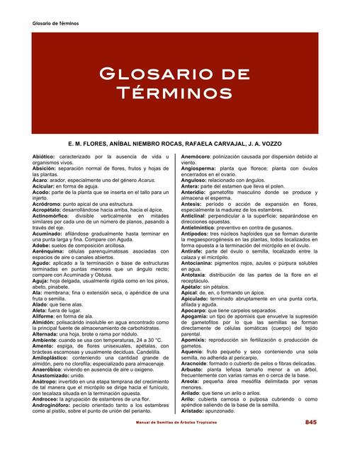 Glosario de Términos