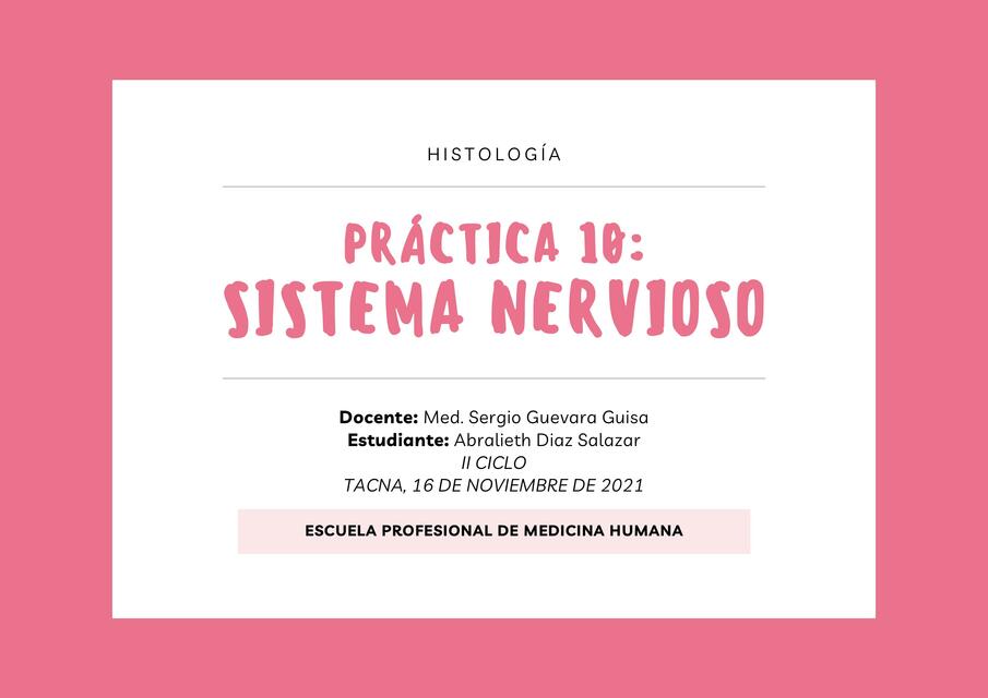 Práctica 10 Sistema Nervioso