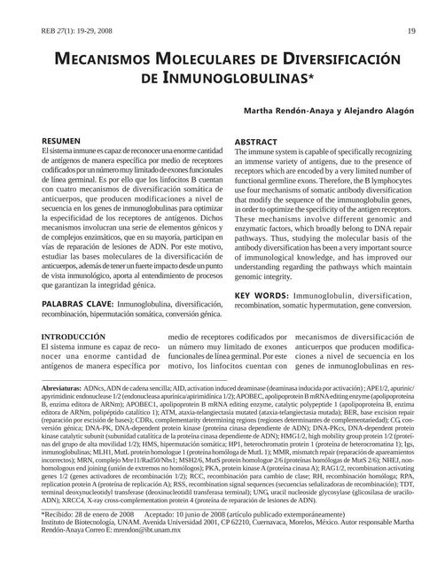 Mecanismos Moleculares de Diversificación de Inmunoglobulinas / Hipermutación Somática