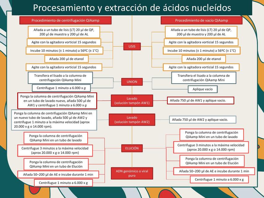 Virología Laboratorio 