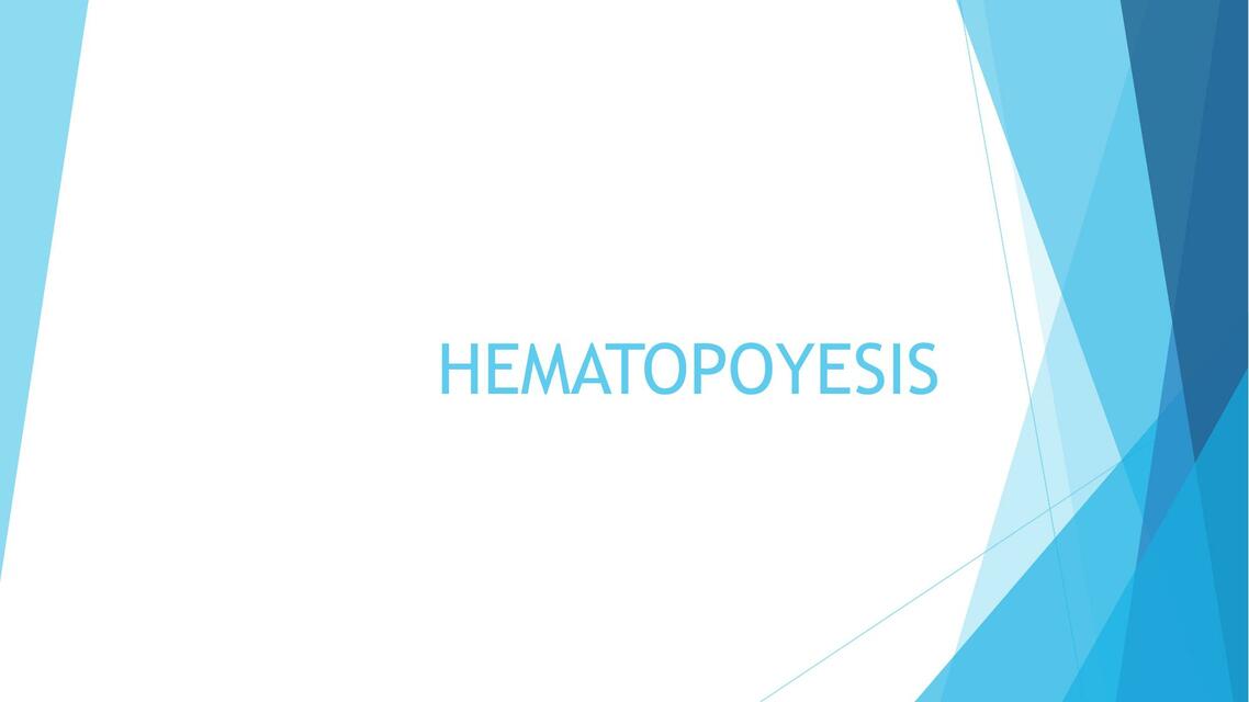 Hematopoyesis 