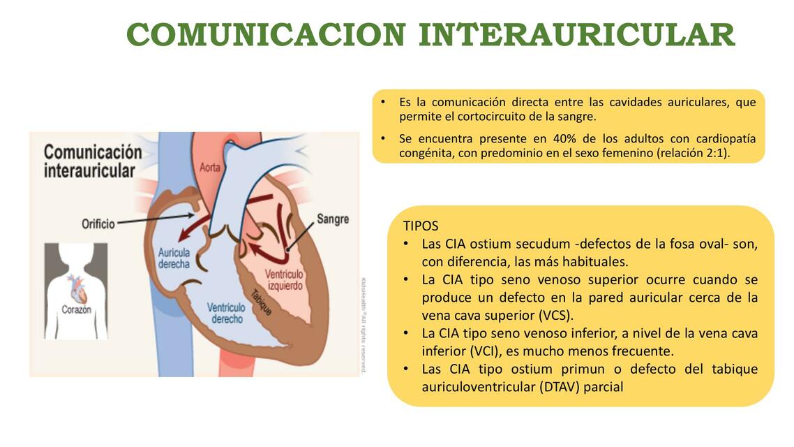 CIA Comunicación Intracelular