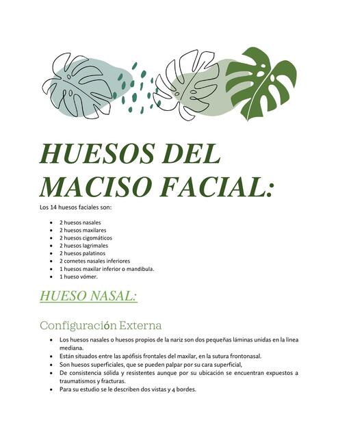 Huesos del Maciso Facial 