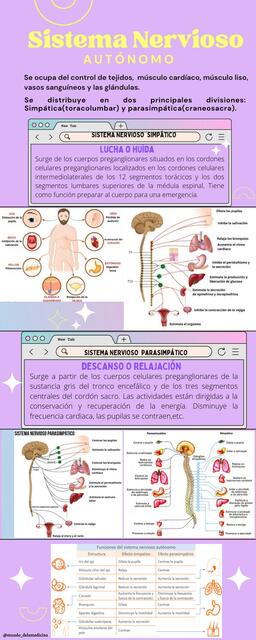 Sistema Nervioso Autónomo 