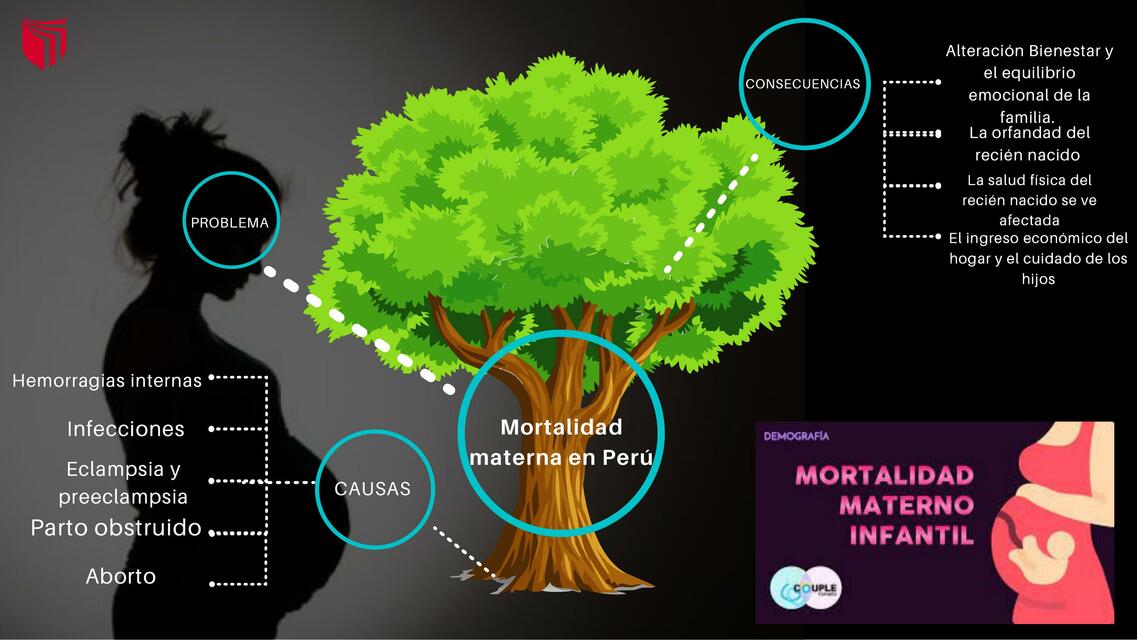 Mortalidad Materna