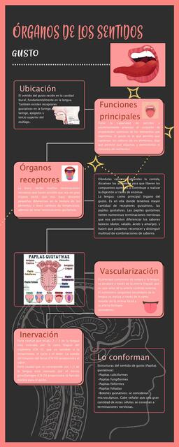 Infografía. El  gusto