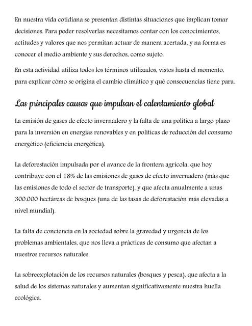 Resumen sobre Cuidado Ambiental