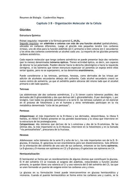 Capítulo 3 B Organización Molecular de la Célula